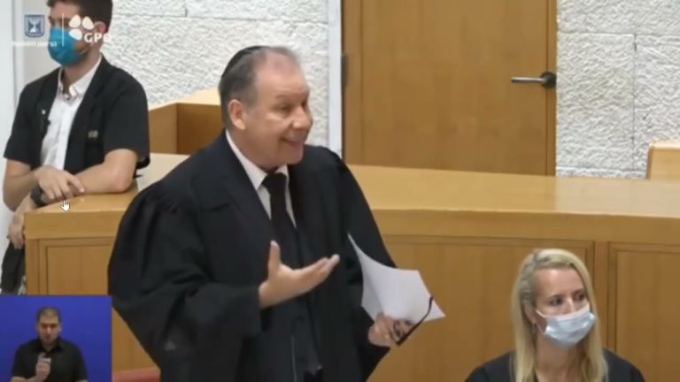 Live-broadcast argument before the High Court in the landmark petition on Knesset committees
